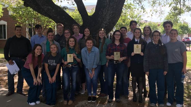 FFA heads to state in four contests