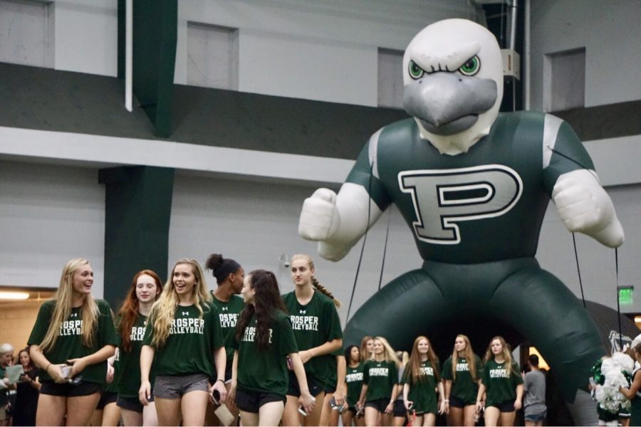 Meet the Eagles hosts 2018 fall athletes