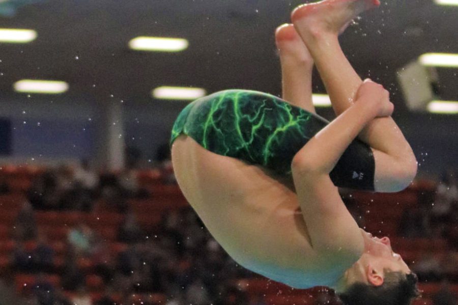 Sophomore Parker Burton dives in last years 5A state competition. The team began in the 2017-2018 school year. “Our divers are a young group,” coach Sarah Milne said. “We have three sophomores and three freshmen on our dive team.”