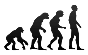 Well-recognized evolutionist image of ape evolving into man. Columnist Kate L. Keeler examines how vestigial structures and DNA, the fossil record, homology vs. convergent evolution, misunderstandings surrounding natural selection, integrated complexity, and non-survival mutations work to prevent evolution from gaining the title of fact. 