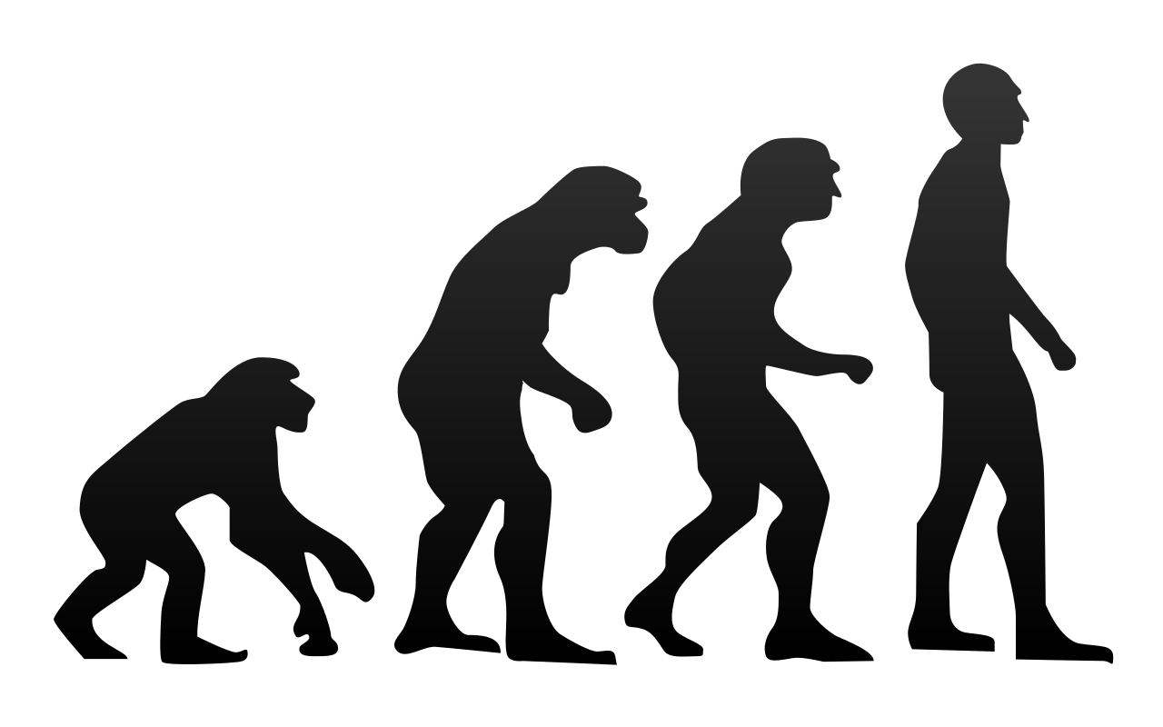Human org. Теория Дарвина о эволюции человека. От обезьяны до человека. Эволюция человека от обезьяны. Человек от обезьяны до человека.