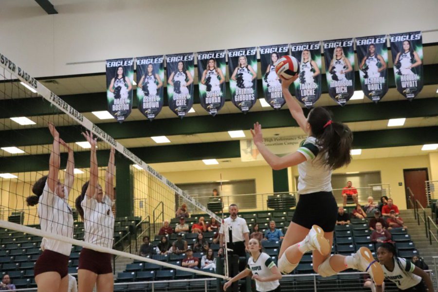 volleyball_norris_201910040922