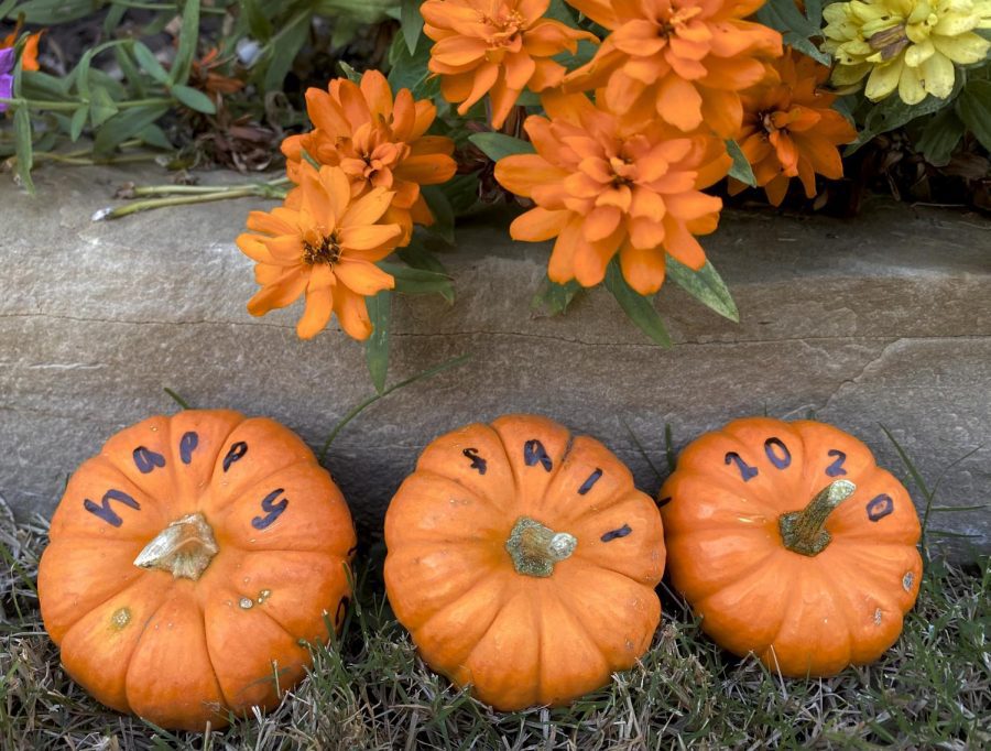 With what she called a festive feeling, photographer Neena Sidhu sets up mini pumpkins with a message. She said she wanted to capture a happy message that may be forgotten during these pandemic times. I wanted to show that it will be a interesting fall, Sidhu said, no matter the things people can or cannot do.