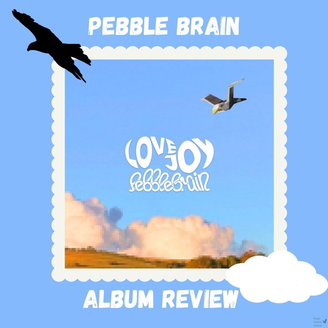Pebble Brain Review FI – Eagle Nation Online
