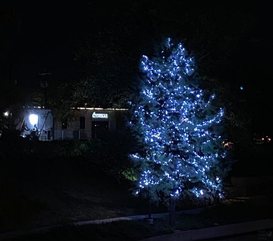 At the San Antonio Riverwalk, a tree lights up. To columnist and photojournalist Michael Ramirez, this photo represents growth, even in dark lighting photography. “I love darker photos, and it was something I wanted to get better at,” Ramirez said. “While I did take this on my phone, it shows the progress I have made with cell phone cameras.”