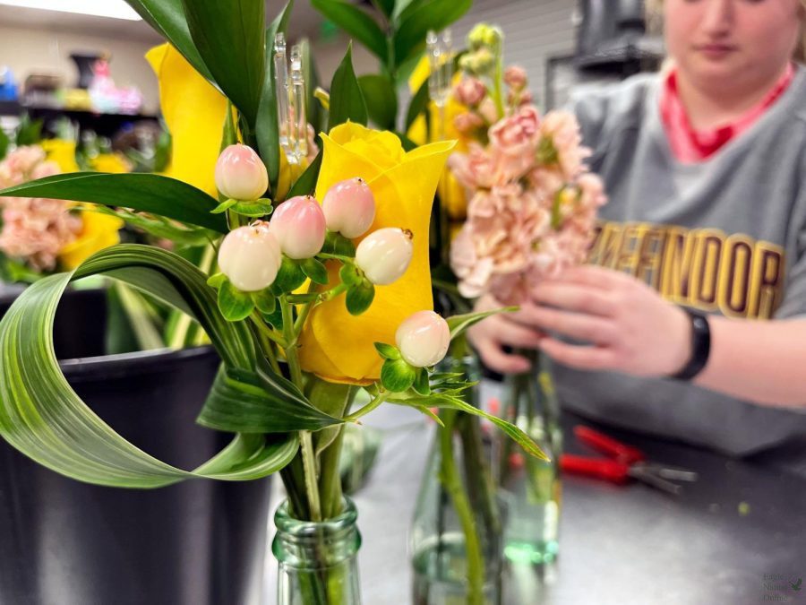 In her sixth period class, senior Abby Schrah prepares a Sunshine Arrangement. The floral department has been working on gifts and products available for purchase for the Valentines Day season. Students and staff can purchase gifts today through the links in the attached article.