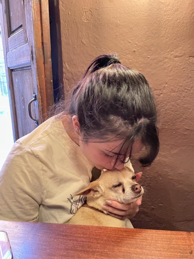 For Spring Break, junior Kalyani Rao went to San Miguel de Allende in Mexico with her mom. In a restaurant, she met a couple who spoke English, and ended up getting to know them really well. "They had a super cute Chihuahua named Evans," Rao said. "He was very sweet and let me hold him for the whole dinner."