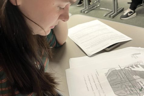 Sitting in Medical Terminology, senior Rory Cronin studies for the first med term test of the year. In the attached column, senior Brooke Murphree gives students tips for increasing grades and understanding material. Im a tactile learner, Cronin said. Instead of studying, I learn through doing things myself. 