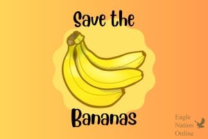 This graphic, made in Canva, depicts the picture of a Cavendish Banana with the words Save the bananas around it. This phrase alludes to the save the - posters that many environmentalists and conservationists use to reach the public about endangered animals. The Cavendish banana is threatened by a fungus, and many scientists predict the populations extinction.
