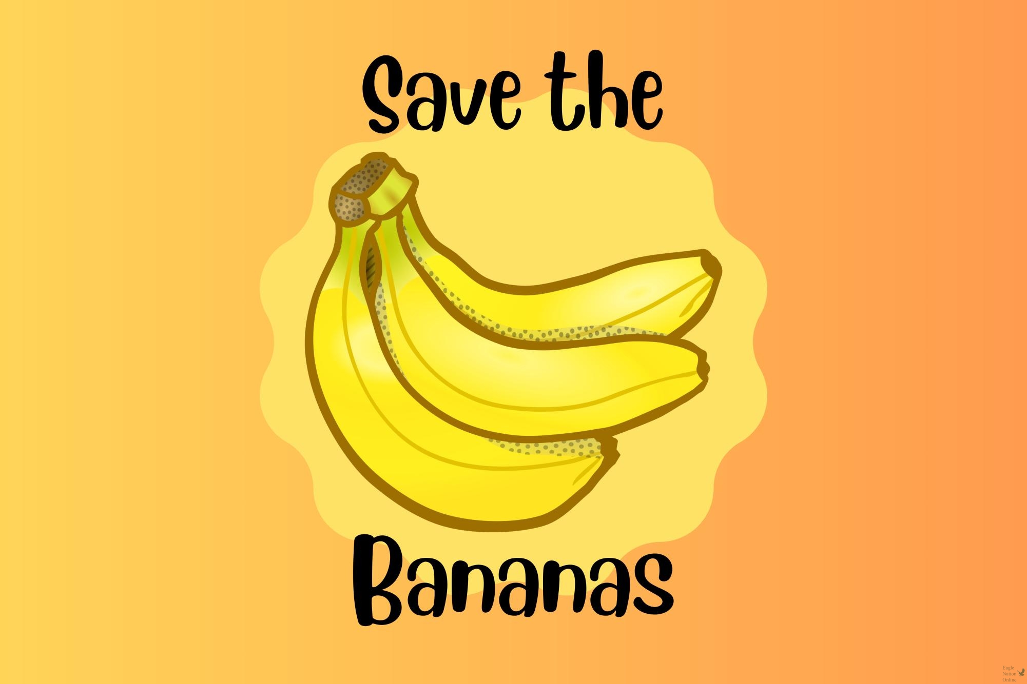 This graphic, made in Canva, depicts the picture of a Cavendish Banana with the words Save the bananas around it. This phrase alludes to the save the - posters that many environmentalists and conservationists use to reach the public about endangered animals. The Cavendish banana is threatened by a fungus, and many scientists predict the populations extinction.