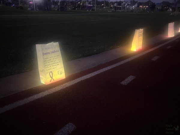 Lighting the path, members of the community honor student made lanterns across the track. The path glowed for students and community members once the sun set. The student council helps organize Relay for Life annually at PHS in the month of April.