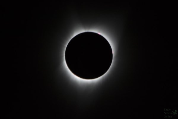 During the total solar eclipse, the Sun’s corona, only visible during the total eclipse, is shown as a crown of white flares from the surface. The red spots called Baileys beads occurs where the moon grazes by the Sun and the rugged lunar limb topography allows beads of sunlight to shine through in some areas as photographed from NASA Armstrong’s Gulfstream III. Photo and Caption Credit: (NASA/Carla Thomas) 