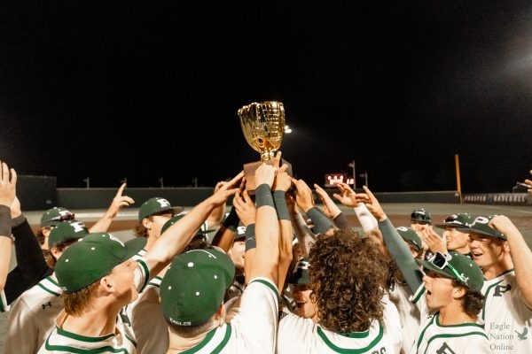 Baseball secures district title