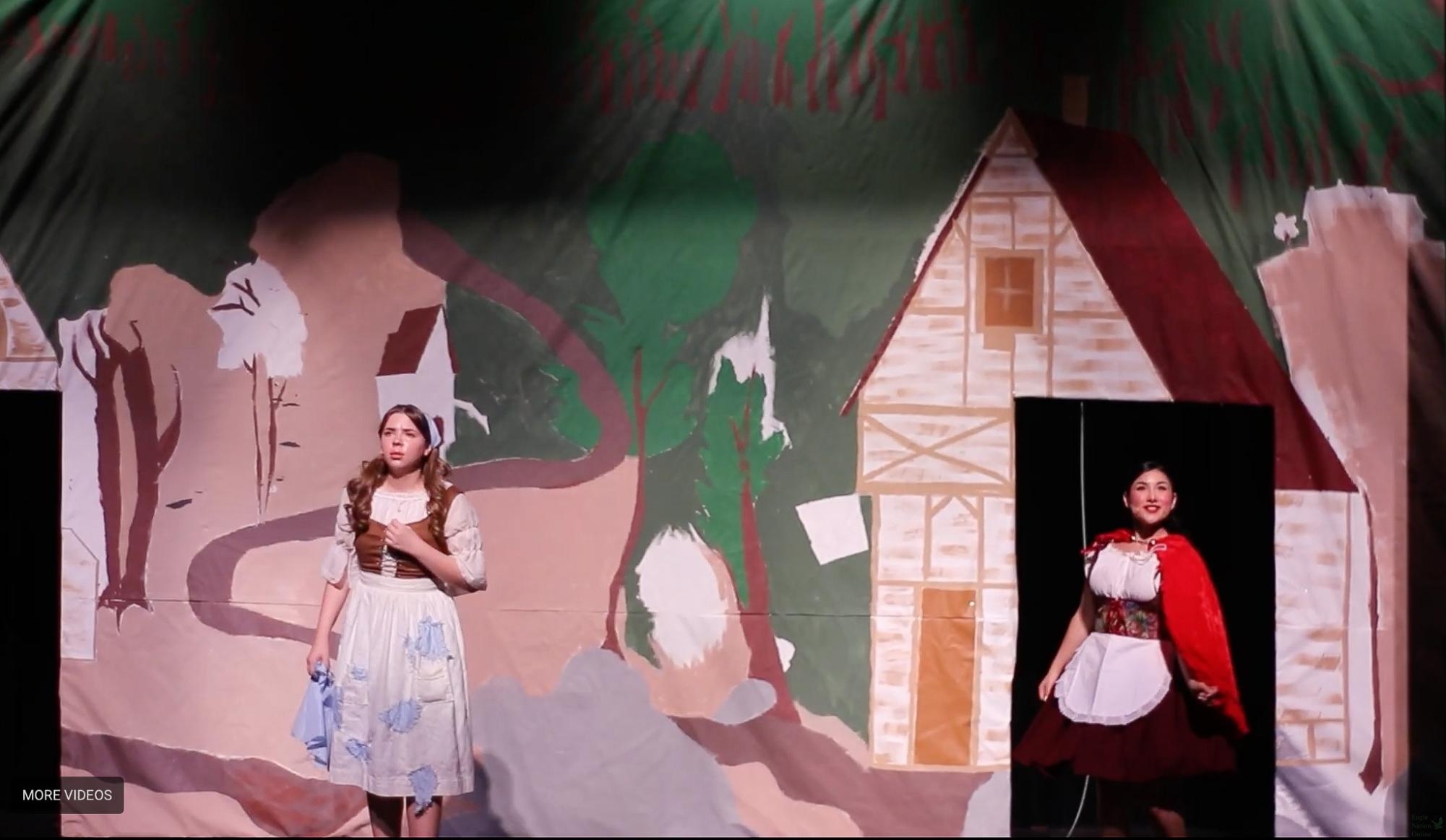 Singing to the audience, senior Nicole Wolf performs on stage. PHS theater had the opening night of their show on Jan. 22. They closed after selling over 200 tickets Jan. 31. 
